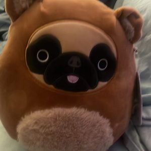 Squishmallow dally 8 inch